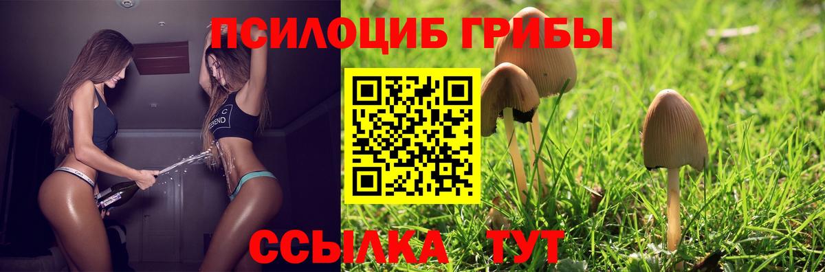 Славянск-на-Кубани  Псилоцибиновые грибы Cubensis  Вход с VPN 